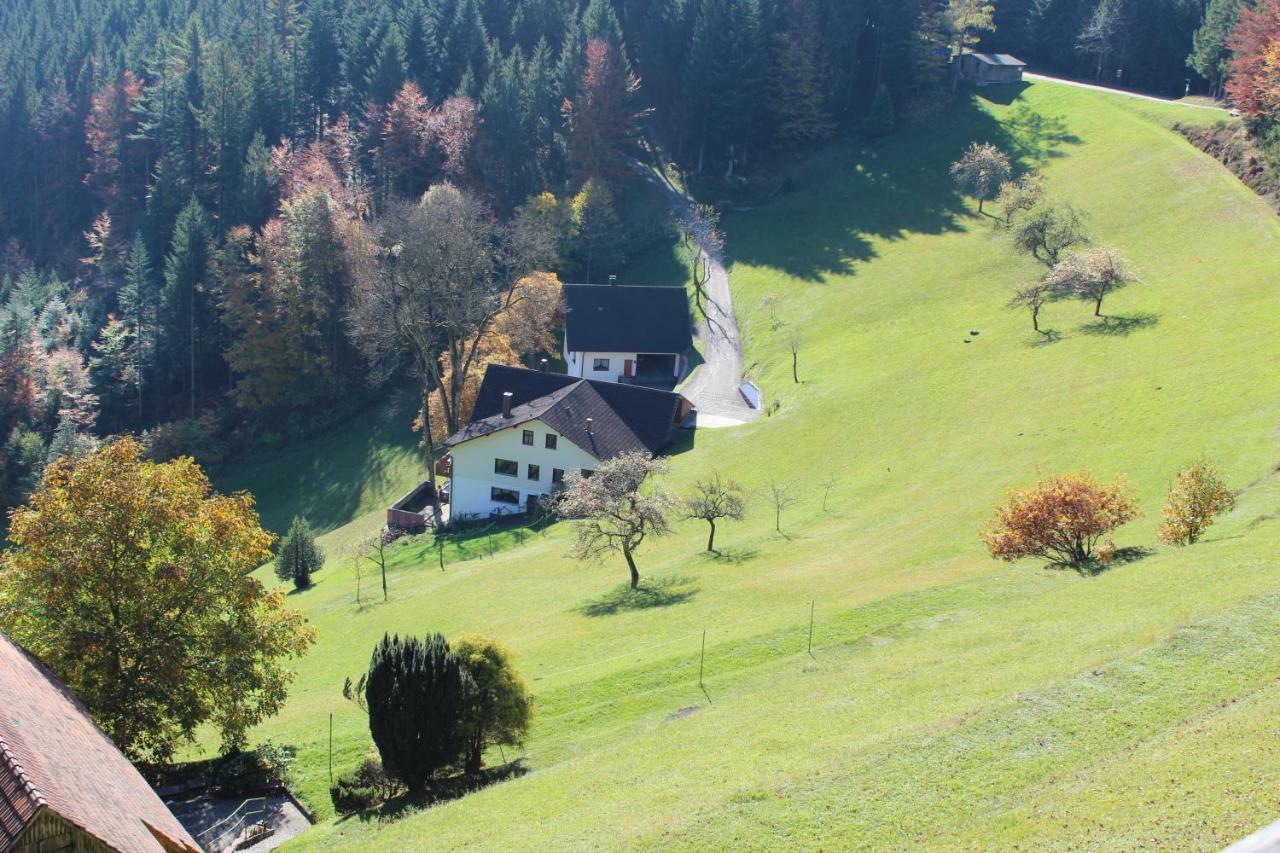 Haus Laetsch Apartment Bad Peterstal-Griesbach Bagian luar foto